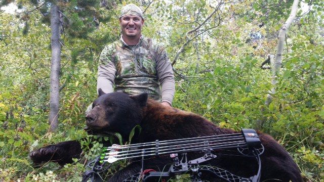 Black bear